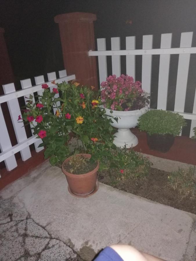 קולן וקוף Apartment Barbara מראה חיצוני תמונה