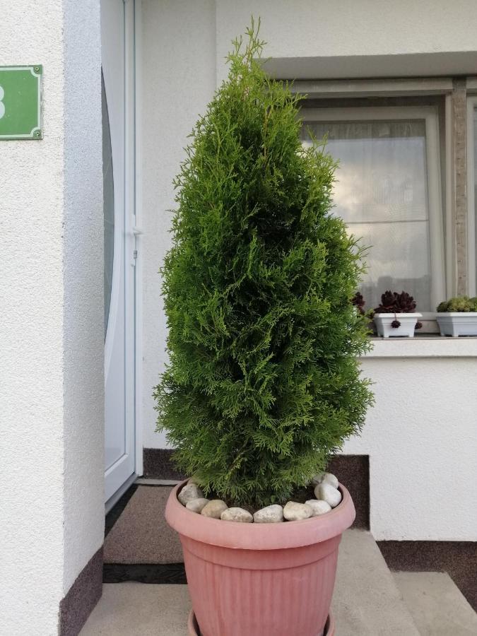 קולן וקוף Apartment Barbara מראה חיצוני תמונה